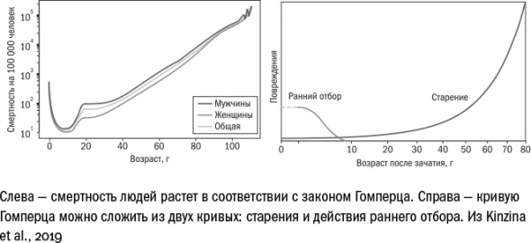 Что такое старение и как с этим бороться. Часть I Дорога к бессмертию