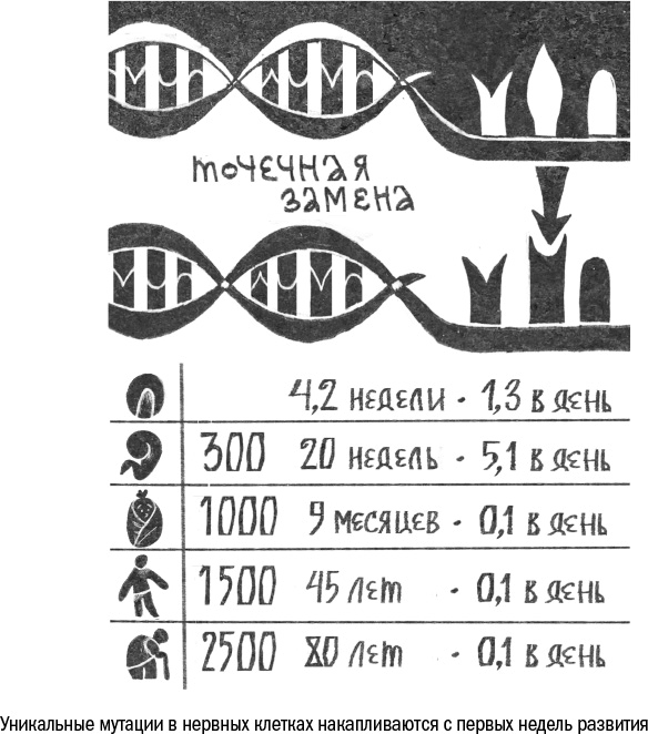 Что такое старение и как с этим бороться. Часть I Дорога к бессмертию