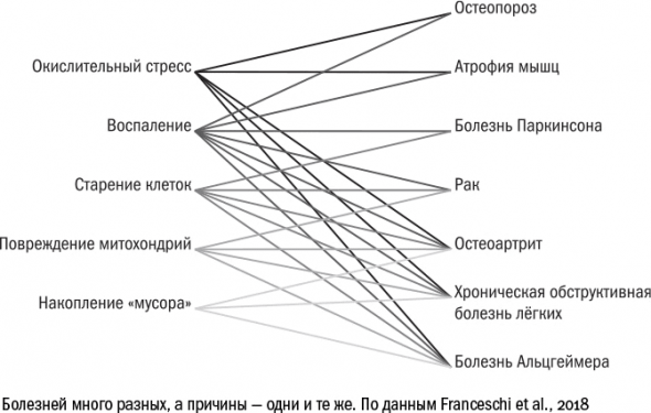 Cтарение. Часть II Портрет врага. Молекулы. Клетки.Ткани: Борьба кланов. Микробы. Иммунитет. Гормоны.Кровь: Переливание молодости. Возрастные заболевания.  Биологический возраст