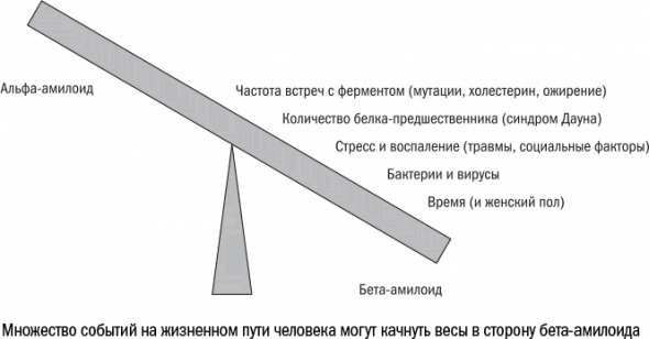 Cтарение. Часть II Портрет врага. Молекулы. Клетки.Ткани: Борьба кланов. Микробы. Иммунитет. Гормоны.Кровь: Переливание молодости. Возрастные заболевания.  Биологический возраст