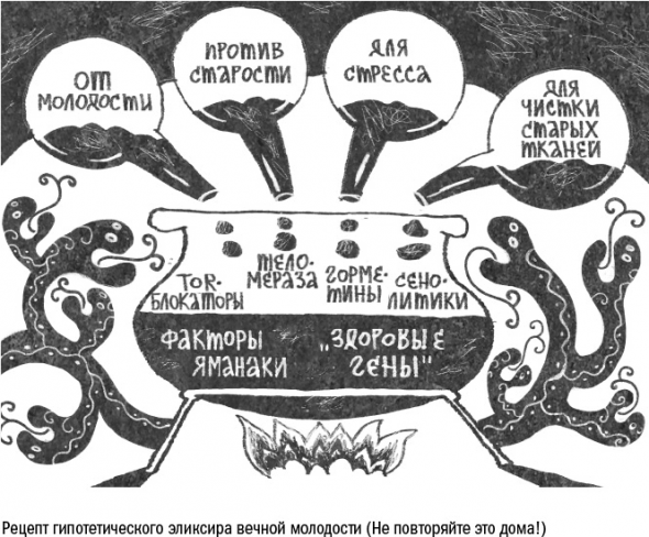 Cтарение. Часть 3. Старение как изнашивание, как защита, как программа, как побочный эффект. Заключение. Кто виноват. Что делать.