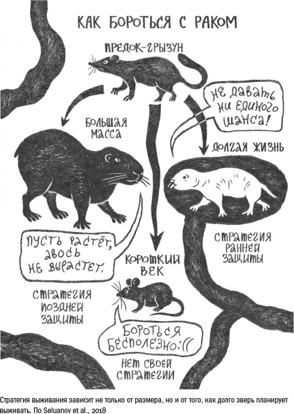 Cтарение. Часть 3. Старение как изнашивание, как защита, как программа, как побочный эффект. Заключение. Кто виноват. Что делать.