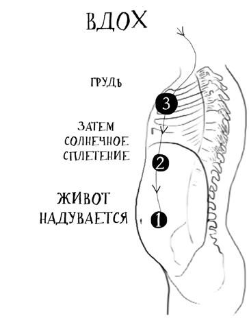 Кроссфит мозга. Как подготовить себя к решению нестандартных задач.