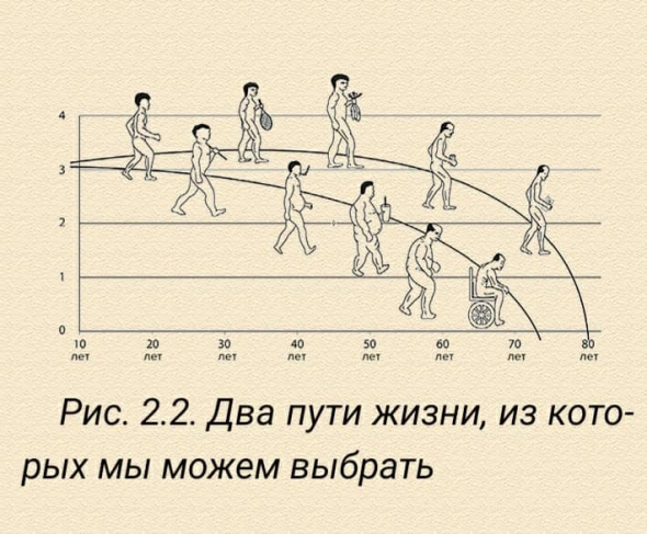 Молодость навсегда. Как замедлить процессы старения и сохранить здоровье. Доктор Дункан Кармайкл.