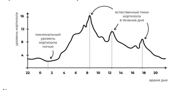 AGILE LIFE. Как вывести жизнь на новую орбиту, используя методы agileпланирования, нейрофизиологию и самокоучинг. Катерина Ленгольд.