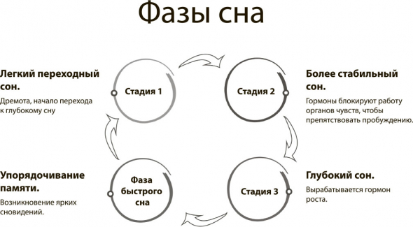 Наш мозг в эпоху катаклизмов. Часть 2. Почему мозг за нас решает? Мозг во сне, гипнозе и в стрессе. триединый мозг. Прокрастинация. Как научиться принимать правильные решения?