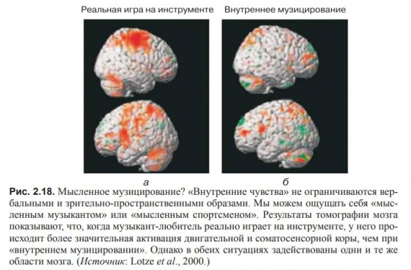 ВВЕДЕНИЕ В КОГНИТИВНЫЕ НЕЙРОНАУКИ. Глава 2. Концептуальная структура когнитивной нейронауки.