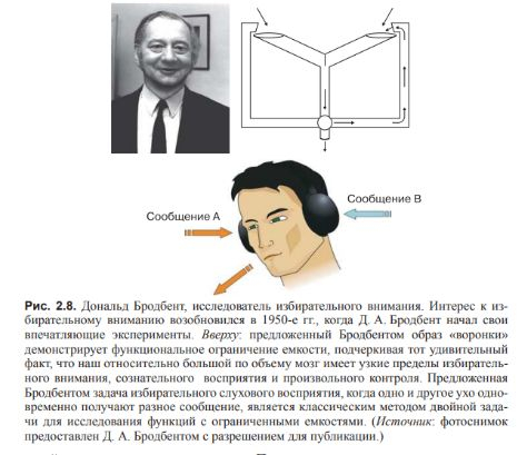 ВВЕДЕНИЕ В КОГНИТИВНЫЕ НЕЙРОНАУКИ. Глава 2. Концептуальная структура когнитивной нейронауки.