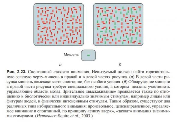 ВВЕДЕНИЕ В КОГНИТИВНЫЕ НЕЙРОНАУКИ. Глава 2. Концептуальная структура когнитивной нейронауки.