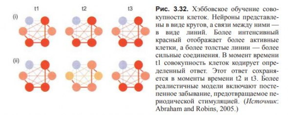 ВВЕДЕНИЕ В КОГНИТИВНЫЕ НЕЙРОНАУКИ. Глава 3. Нейроны и связи между ними.