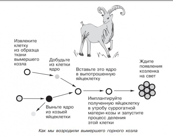 Научное путешествие по блокбастерам. МАТРИЦА для ЧУЖОГО. ГЛАВА 1 «МАРСИАНИН». ГЛАВА 2 «ПАРК ЮРСКОГО ПЕРИОДА»