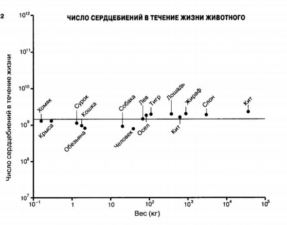 Масштаб: универсальные законы роста, инновации, устойчивости и темпа жизни для живых организмов, городов, компаний и национальных экономик.