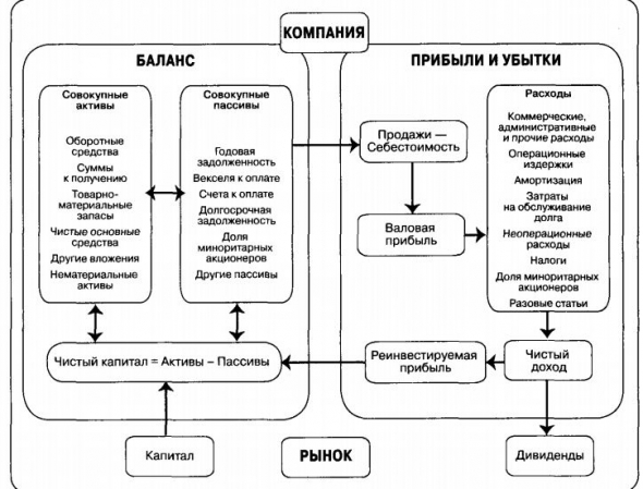 Масштаб: универсальные законы роста, инновации, устойчивости и темпа жизни для живых организмов, городов, компаний и национальных экономик.