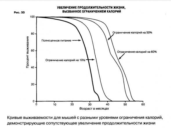 Масштаб: универсальные законы роста, инновации, устойчивости и темпа жизни для живых организмов, городов, компаний и национальных экономик.