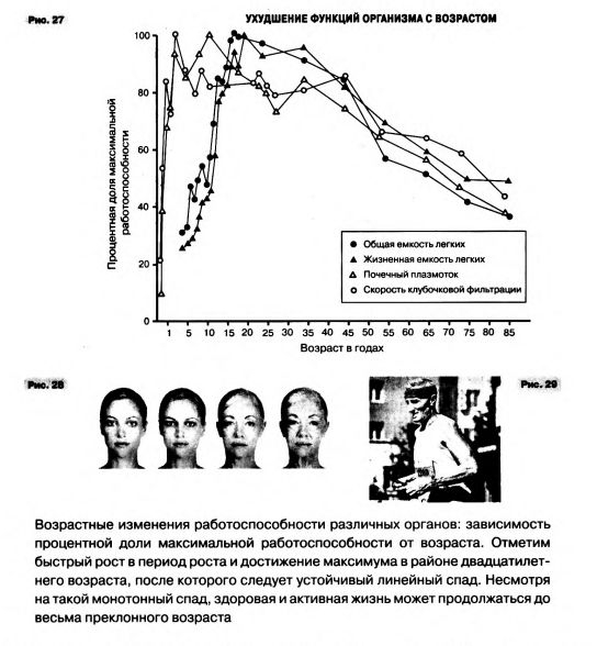 Масштаб: универсальные законы роста, инновации, устойчивости и темпа жизни для живых организмов, городов, компаний и национальных экономик.