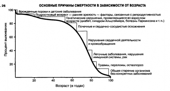 Масштаб: универсальные законы роста, инновации, устойчивости и темпа жизни для живых организмов, городов, компаний и национальных экономик.