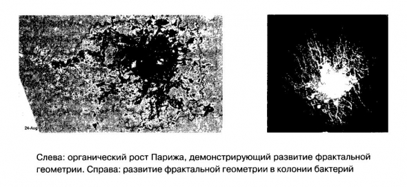 Масштаб: универсальные законы роста, инновации, устойчивости и темпа жизни для живых организмов, городов, компаний и национальных экономик.