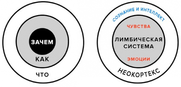 Начни с "Почему?" Как настоящие лидеры мотивируют на свершения. Саймон Синек