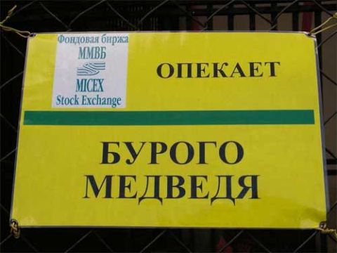 ММВБ опекает бурого медведя