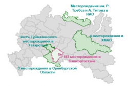 Отчётность Башнефти за 2012 год.Кейс для инвестора