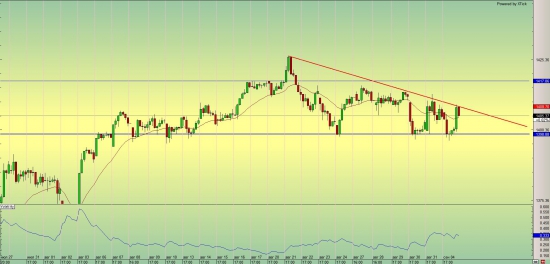 SP&500. Заяц в клетке.