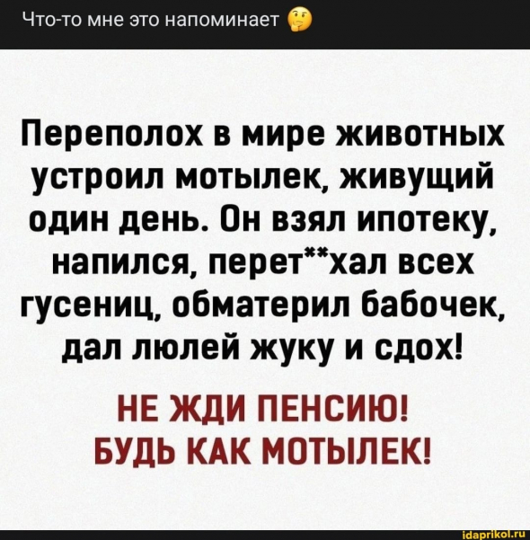 Веселые картинки. На абордаж.