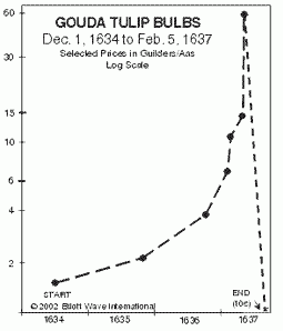 Bitcoins - 21st century Tullip Mania!?