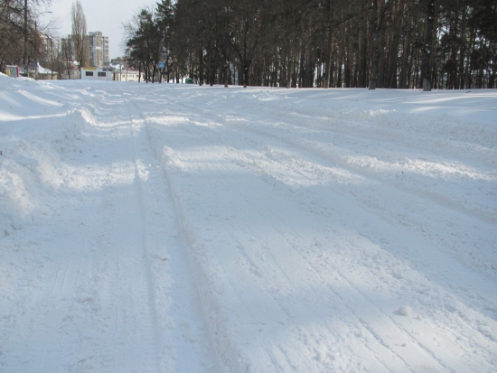 В Киев пришла весна... замело :)