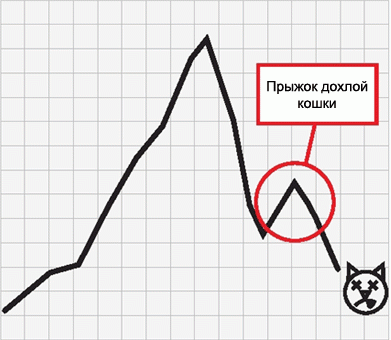 по дороге на работу валяется дохлая кошка. почему-то каждый день в новой позе. ох, артистка!