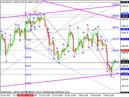 RoboForex: технический анализ и видеообзор на 13.02.2013 EUR/USD, GBP/USD, USD/JPY, USD/CHF, AUD/USD, GOLD