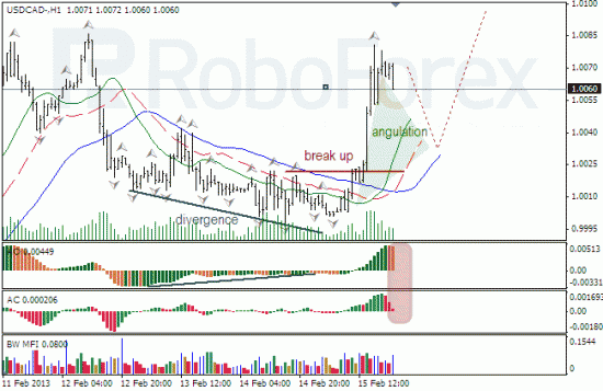 RoboForex: анализ индикаторов Б.Вильямса для NZD/USD и USD/CAD на 18.02.2013