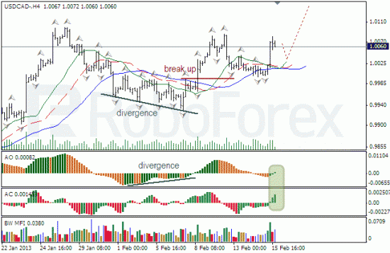 RoboForex: анализ индикаторов Б.Вильямса для NZD/USD и USD/CAD на 18.02.2013