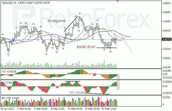 RoboForex: анализ индикаторов Б. Вильямса для USD/CAD и NZD/USD на 25.02.2013