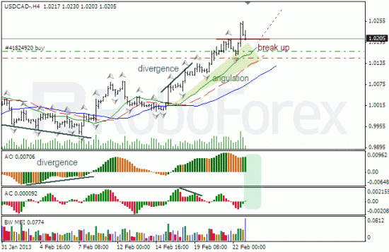 RoboForex: анализ индикаторов Б. Вильямса для USD/CAD и NZD/USD на 25.02.2013