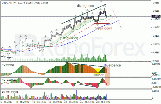 RoboForex: анализ индикаторов Б.Вильямса для NZD/USD и USD/CAD на 04.03.2013