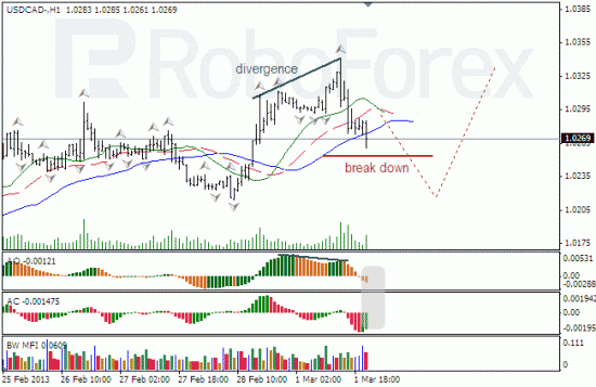 RoboForex: анализ индикаторов Б.Вильямса для NZD/USD и USD/CAD на 04.03.2013