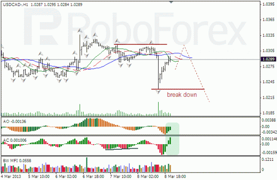 RoboForex: анализ индикаторов Б.Вильямса для NZD/USD и USD/CAD на 11.03.2013