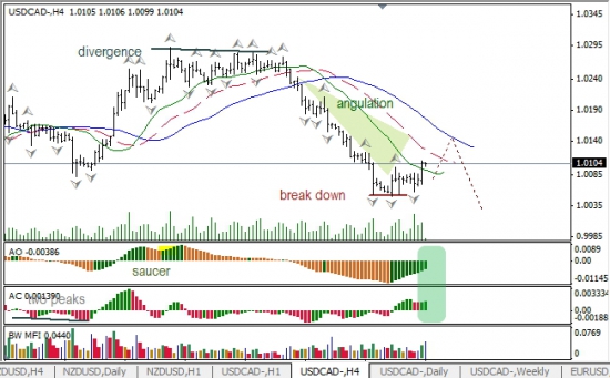 RoboForex: анализ индикаторов Б. Вильямса для USD/CAD и NZD/USD на 03.05.2013