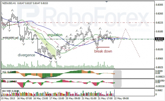 RoboForex: анализ индикаторов Б. Вильямса для USD/CAD и NZD/USD на 22.05.2013