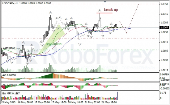 RoboForex: анализ индикаторов Б. Вильямса для USD/CAD и NZD/USD на 22.05.2013