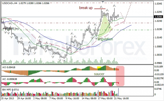 RoboForex: анализ индикаторов Б. Вильямса для USD/CAD и NZD/USD на 22.05.2013