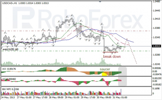 RoboForex: анализ индикаторов Б. Вильямса для USD/CAD и NZD/USD на 31.05.2013