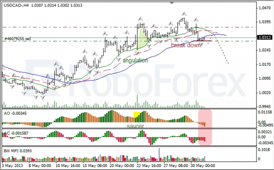 RoboForex: анализ индикаторов Б. Вильямса для USD/CAD и NZD/USD на 31.05.2013