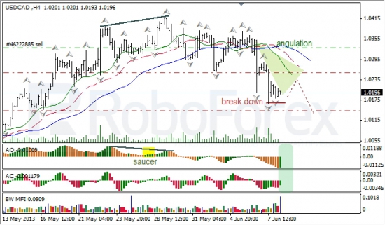 RoboForex: анализ индикаторов Б. Вильямса для USD/CAD и NZD/USD на 10.06.2013