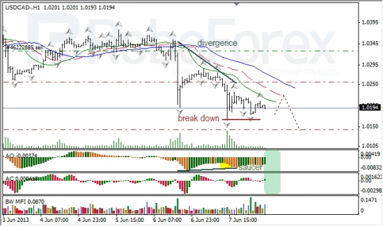 RoboForex: анализ индикаторов Б. Вильямса для USD/CAD и NZD/USD на 10.06.2013