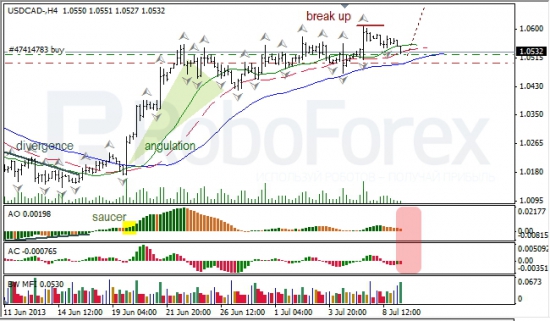 RoboForex: анализ индикаторов Б. Вильямса для USD/CAD и NZD/USD на 09.07.2013