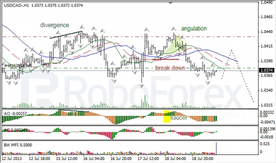 RoboForex: анализ индикаторов Б. Вильямса для USD/CAD и NZD/USD на 19.07.2013