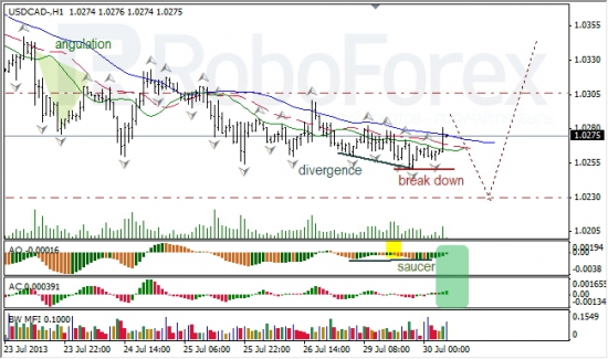 RoboForex: анализ индикаторов Б. Вильямса для USD/CAD и NZD/USD на 30.07.2013