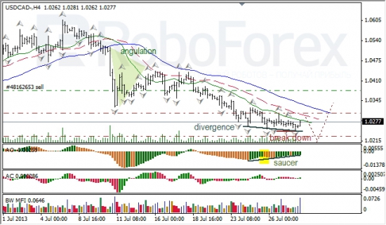 RoboForex: анализ индикаторов Б. Вильямса для USD/CAD и NZD/USD на 30.07.2013