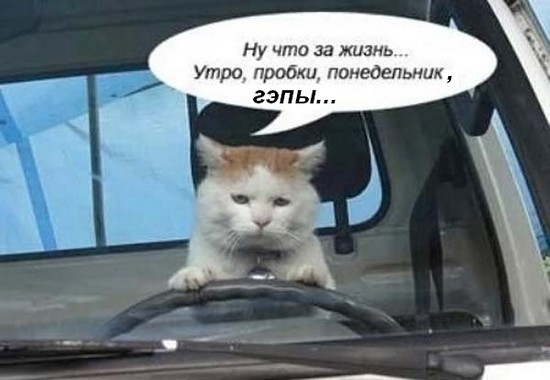 Здравствуй, чёрный понедельник?..